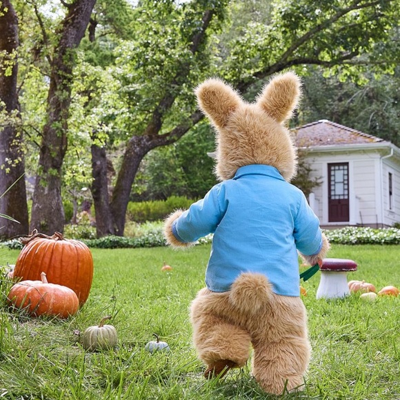 Peter Rabbit Costume - Picture 7 of 7